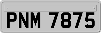 PNM7875