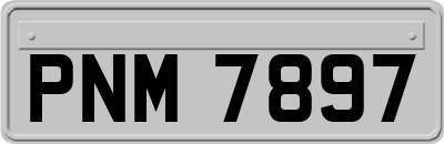 PNM7897