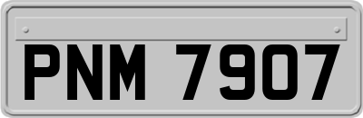 PNM7907