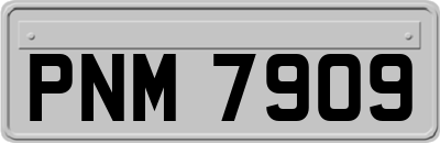 PNM7909