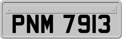 PNM7913