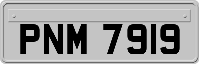 PNM7919