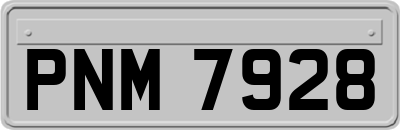 PNM7928