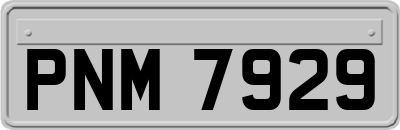 PNM7929