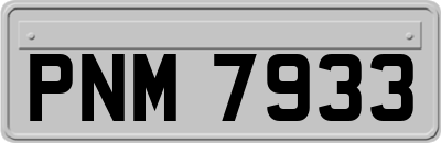 PNM7933