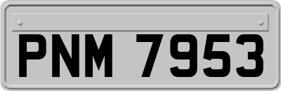 PNM7953
