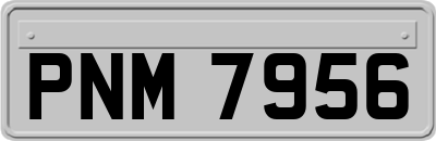 PNM7956