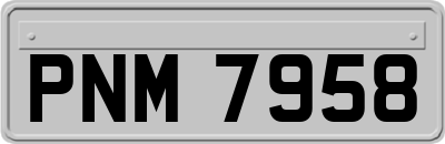 PNM7958