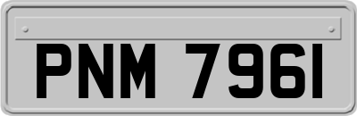 PNM7961