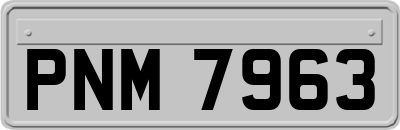 PNM7963