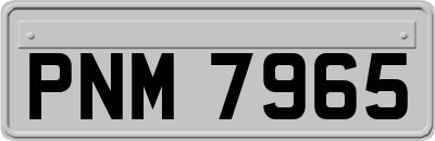 PNM7965