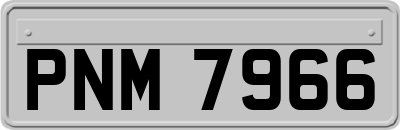 PNM7966
