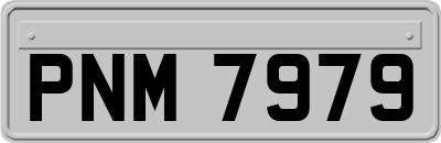 PNM7979