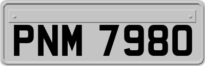 PNM7980