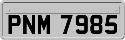 PNM7985