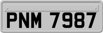 PNM7987