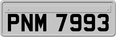 PNM7993