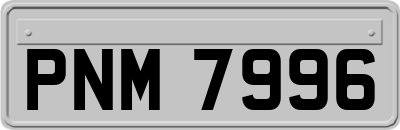 PNM7996