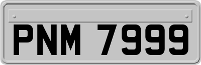 PNM7999
