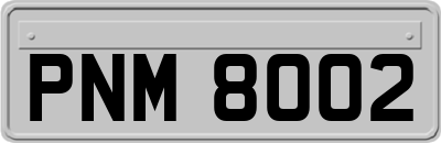 PNM8002