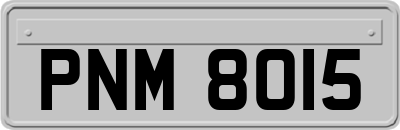 PNM8015