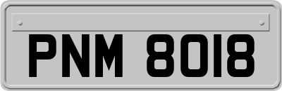 PNM8018