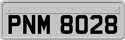 PNM8028
