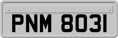 PNM8031