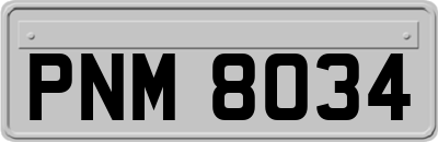 PNM8034