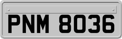 PNM8036