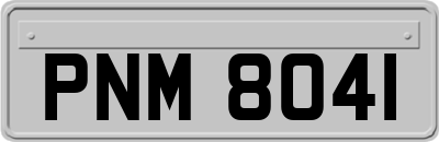 PNM8041
