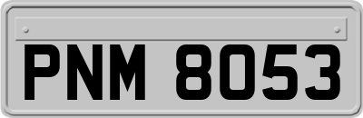 PNM8053