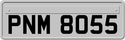 PNM8055
