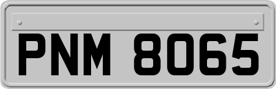 PNM8065