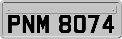 PNM8074