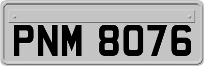 PNM8076