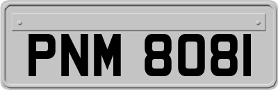 PNM8081