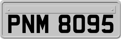 PNM8095
