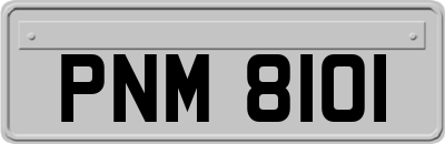 PNM8101