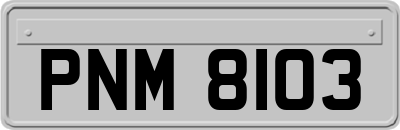PNM8103