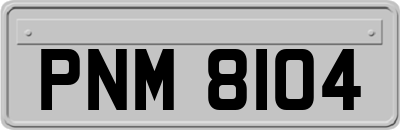 PNM8104