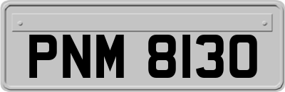PNM8130