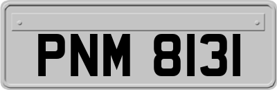 PNM8131