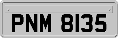 PNM8135