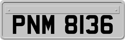 PNM8136