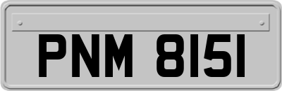 PNM8151