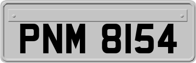 PNM8154
