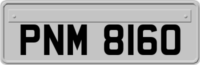 PNM8160
