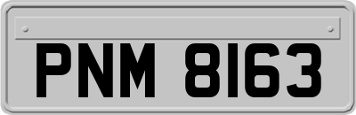 PNM8163