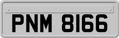 PNM8166
